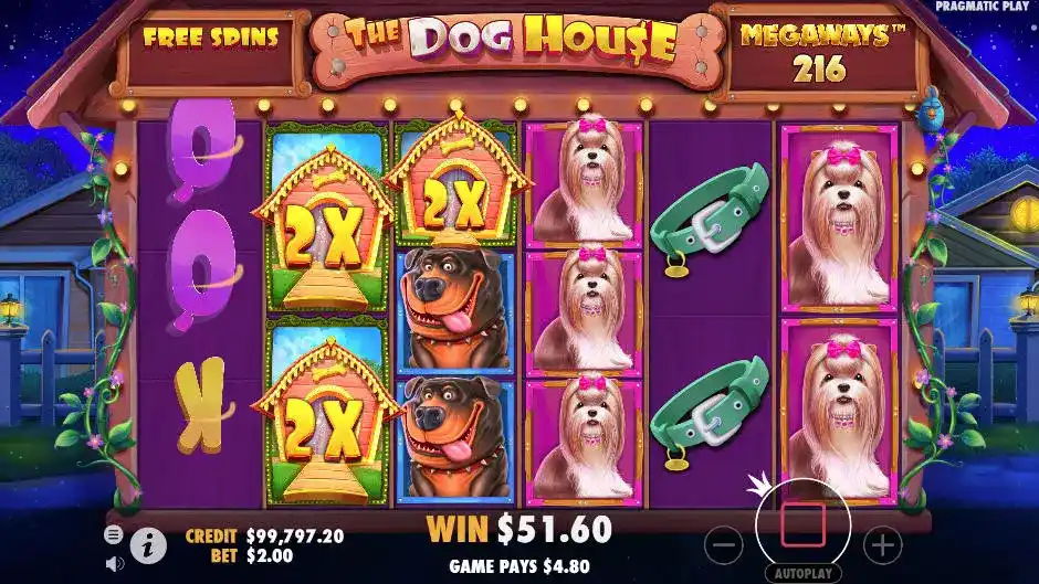 dog house megaways gameplay win